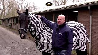 Bucas | Sweetich Zebra | Eczeemdeken zebraprint