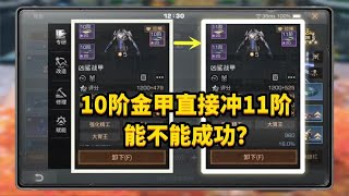 一口气10阶金甲合到11阶金甲能成功吗？