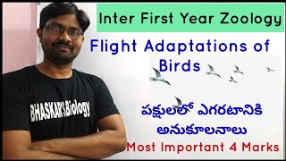 Flight Adaptations of Birds | పక్షులలో ఎగరటానికి అనుకూలనాలు | Animal Diversity II