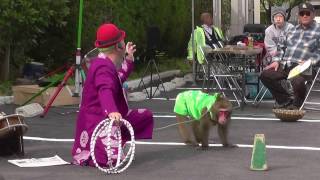 日本の猿回し・九州大道芸劇団Japanese monkey trainer, Kyushu street performance theatrical company