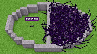 super cat vs 100 withered symbiont (wither storm mod)