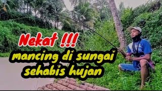 Ngerii,,,!!joran sampai patah mancing ikan lele sehabis hujan sore @cah ndesa#ikan#mancing#lucu