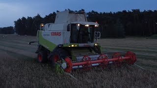 🔥Oporowy owies 2024🔥 ( Claas Lexion 540 )