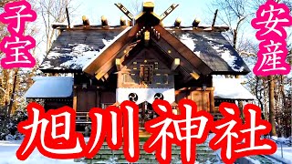 【子宝パワースポット】旭川神社②参拝編【美の女神と大雪山】