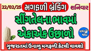 મગફળીમાં સુધારો,મગફળીમાં તેજી, મગફળીના ભાવ, ગોંડલ,  સીંગદાણા, સીંગતેલની નિકાસ,22.2.25, farmer market