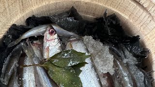 Сосьвинская сельдь 🐟🔥