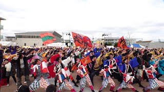 総踊り ♪ 柿パラ @ 岐聖祭 (岐阜聖徳学園大学) 2018-12-02T11:51