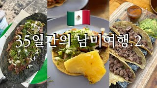 🇲🇽35일간의 남미여행 2. 하루에 타코 최대 몇 개? 몰라 쭉쭉 들어가~(멕시코시티/프리다칼로/알 파스토르 타코/타코연대기/미첼라다)