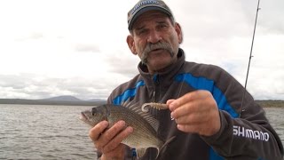 How To Catch Black Bream - SHIMANO FISHING