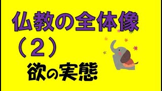 仏教の全体像（２）【欲の実態】