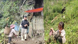 Today, Anh's father went to clear fields to grow corn to eat.#youtube