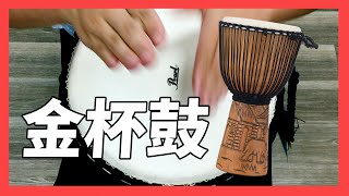 【豪聲小學堂】 金杯鼓 Djembe｜豪聲樂器