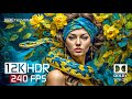 BEST 12K HDR Video ULTRA HD 240 FPS - Dolby Vision