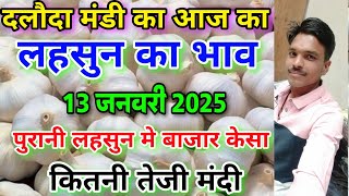 दलौदा मंडी आज का लहसुन का भाव 13 जनवरी 2025 |daloda mandi lahsun ka bhav |aaj ka lahsun bhav