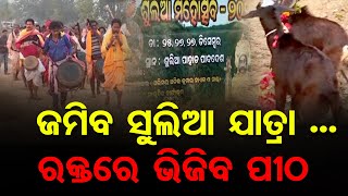 ଜମିବ ସୁଲିଆ ଯାତ୍ରା ... ରକ୍ତରେ ଭିଜିବ ପୀଠ  | Odisha Reporter