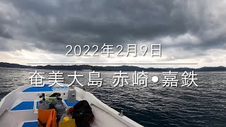 【珠や潜水】奄美大島 赤崎・嘉鉄 2022年2月9日