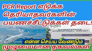 கொழும்பு பிசிஆர் report எடுக்க என்ன செய்ய வேண்டும்| Tamil channel|யாழ்ப்பாணம் எங்கள் ஊர்