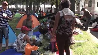 Especialistas pedem proteção aos migrantes da América Central