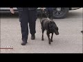 CPD says goodbye to K-9 officer