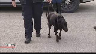 CPD says goodbye to K-9 officer