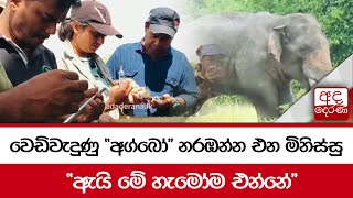 වෙඩිවැදුණු 'අග්බෝ' නරඹන්න එන මිනිස්සු \