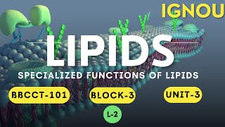 L-2 LIPIDS | BBCCT-101 Block-3 Unit-11 | IGNOU BSC Biochemistry