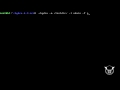 Using Hydra to break HTTP Basic Auth