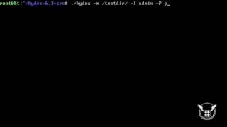 Using Hydra to break HTTP Basic Auth