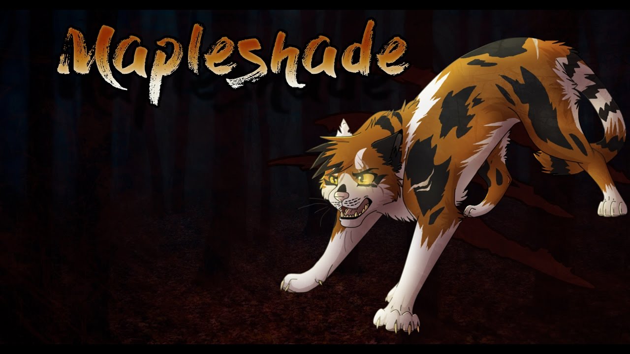 Warriors Mapleshade Speed Edit Youtube
