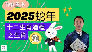 2025乙巳年生肖兔運勢大解析｜事業、財運、健康、愛情全方位分析！🐇