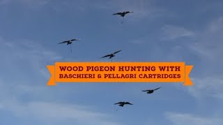 Wood pigeon hunting with Baschieri \u0026 Pellagri cartridges