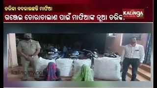 Ganja, Bikes Seized Worth 40 Lakh Seized, 2 Arrested In Boipariguda Area, Koraput || KalingaTV