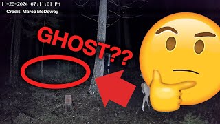 Hunting Camera Captures Strange Ghost-Like Encounter in Washington Woods!