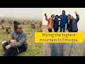 The Semein Mountain, Gonder vlog - By Nishan