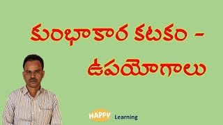 కుంభాకార కటక ఉపయోగాలు/HAPPY Learning