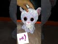 TY Beanie Boos  Cassidy The Cat Intro