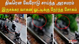 திடீரென வேரோடு சாய்ந்த அரசமரம் இருசக்கர வாகன ஓட்டிக்கு நேர்ந்த சோகம்..!