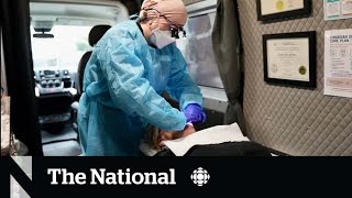 First phase of Canada's national dental care plan begins