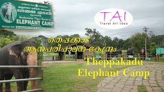 Theppakadu Elephant Camp , തെപ്പക്കാട് ആന പരിപാലന കേന്ദ്രം