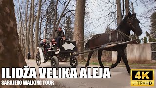 【4K】Virtual Sarajevo Walking Tour in 4K: Ilidza Velika Aleja🚶‍♀️