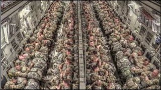 WORLD'S TOUGHEST MILITARY ARMY | LARGEST Military Expansion 2017