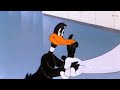 Porky Pig in: Daffy Duck Hunt