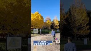 【柏の葉公園】らぼっとと紅葉♪充電OKな公園型ドトールも♪