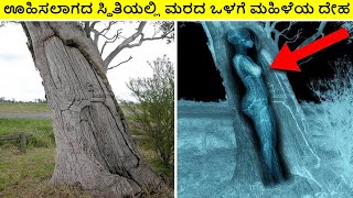 ಊಹಿಸಲಾಗದ ಸ್ಥಿತಿಯಲ್ಲಿ ಮರದ ಒಳಗೆ ಮಹಿಳೆಯ ದೇಹ || 10 Discoveries found in unexpected places