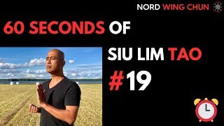60 Seconds Of Siu Lim Tao - #19