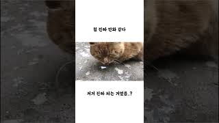 헐 진짜 만화 같다