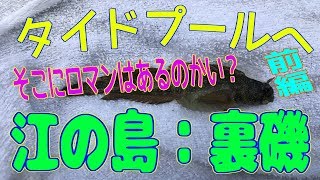 釣り動画ロマンを求めて 175釣目（前編：江の島　裏磯）