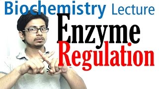 Enzyme regulation