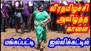 மங்கப்பட்டி ஜல்லிக்கட்டில் வீரத்தமிழச்சி காளையை அவிழ்த்த காளையை பிடிச்சா 5000 பணம் மற்றும்  சைக்கிள்