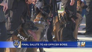 Frisco Police, Community Remember K9 Officer Boris:
